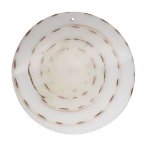 Focal, lettered cone shell (natural), white, 35mm top-drilled round, Mohs hardness 3-1/2. Sold individually.