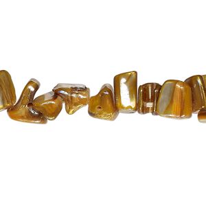 Mother-of-pearl shell 1pkg1, chip bead 15 inch dark gold AB medium