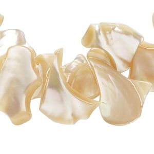 Mother-of-pearl shell 1pkg1, top-drilled chip bead natural 15.5 to 16 inch extra-large