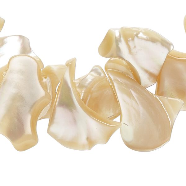 Mother-of-pearl shell 1pkg1, top-drilled chip bead natural 15.5 to 16 inch extra-large image number 0