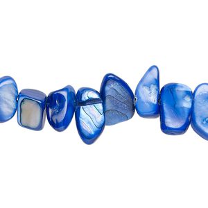 Mother-of-pearl shell 1pkg1, chip bead 30-inch blue small to extra-large