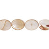 Mother-of-pearl shell 1pkg1, flat oval bead 15 inch light brown 12x9mm-12x10mm image number 0