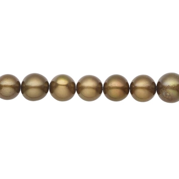 Freshwater pearl 1pkg1, semi-round, 14 inch iris gold 6-8mm cultured image number 0