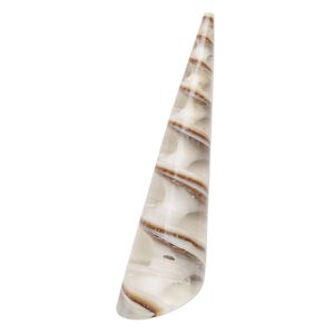 Focal, screw turritella shell (assembled), clear, 40x10mm top-drilled cone, Mohs hardness 3-1/2. Sold individually.