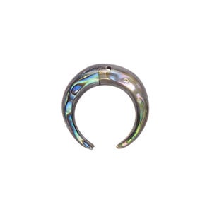 Paua shell 1pkg1, naja drop 17x17mm