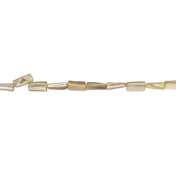 Mother-of-pearl shell 1pkg1, stick bead 15 inch beige /, green / yellow 11x9mm-15x10mm image number 1