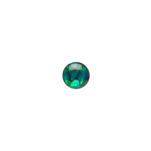 Cabochon, paua shell (dyed / coated), green, 8mm calibrated round, Mohs hardness 3-1/2. Sold per pkg of 6.