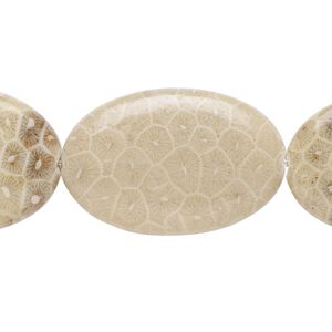 Fossil coral 1pkg1, flat oval bead natural 15.5-16 inch 30x20mm