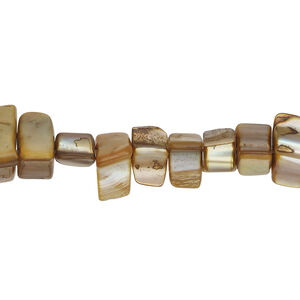 Mother-of-pearl shell 1pkg1, triangle tube bead 15 inch golden brown 8x4mm-10x6mm