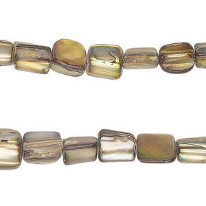 Mother-of-pearl shell 1pkg2, chip bead 15 inch brass small to medium