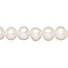 Freshwater pearl 1pkg1, semi-round, 15 inch white 9-10mm cultured image number 0