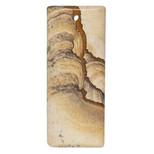 Picture jasper 1pkg1, top-drilled rectangle focal natural 52x20mm