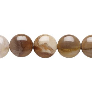 Petrified wood 1pkg1, puffed flat round bead natural 8 inch 12mm
