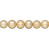 Freshwater pearl 1pkg1, semi-round, 15 inch champagne 7-9mm cultured image number 0