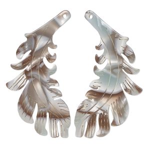 Focal 1pkg4 resin, grey and brown, 46x25mm single-sided left and right-facing carved feather.
