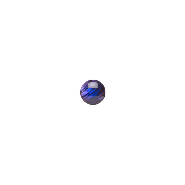 Cabochon, paua shell (dyed / coated), purple, 6mm calibrated round, Mohs hardness 3-1/2. Sold per pkg of 10. image number 0