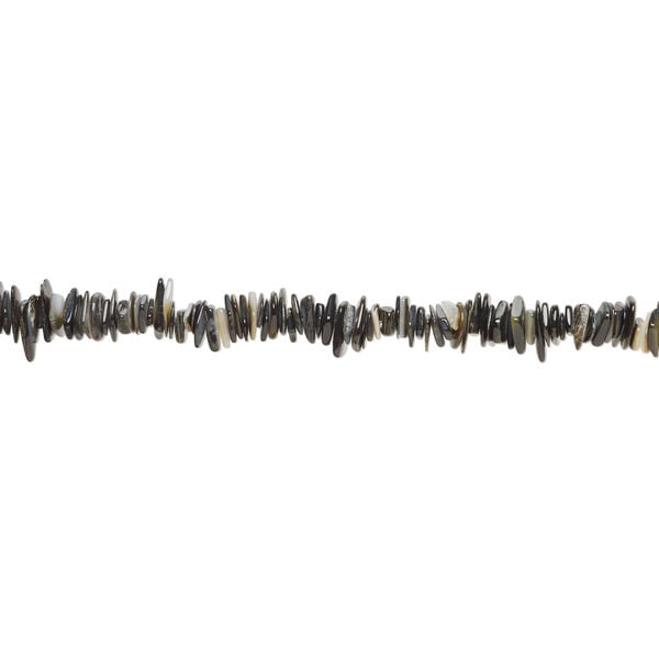 Black lip shell / gold lip shell / mother-of-pearl shell 1pkg1, chip bead 15 inch medium to extra-large image number 1