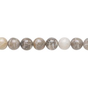 Fossil coral 1pkg1, round bead natural 15.5-16 inch 6mm