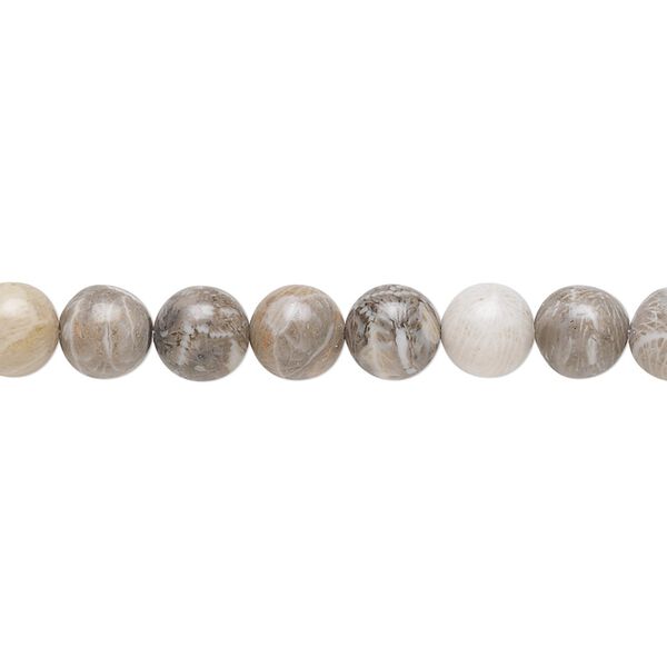 Fossil coral 1pkg1, round bead natural 15.5-16 inch 6mm image number 0