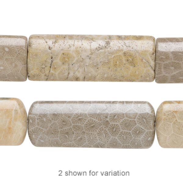 Fossil coral 1pkg1, puffed rectangle bead natural 15.5-16 inch 40x15mm image number 0