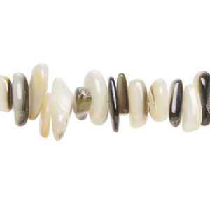 Black lip shell / gold lip shell / mother-of-pearl shell 1pkg1, chip bead 15 inch small to extra-large