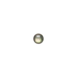 Cabochon, black lip shell (coated), black, 6mm calibrated round, Mohs hardness 3-1/2. Sold per pkg of 4.