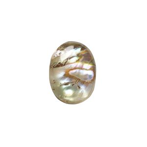Cabochon, abalone shell (coated), 16x12mm calibrated oval, Mohs hardness 3-1/2. Sold per pkg of 4.