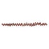 Freshwater pearl 1pkg1, top-drilled rice, 15 inch rhubarb 7x7mm-10x8mm cultured image number 1