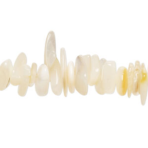 Black lip shell / gold lip shell / mother-of-pearl shell 1pkg1, chip bead 15 inch medium to large