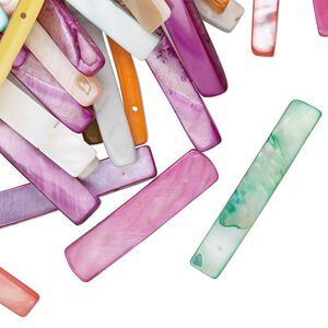 Mother-of-pearl shell 1pkg4oz, 2-hole stick spacer bead mix mixed colors 41x5-60x10mm