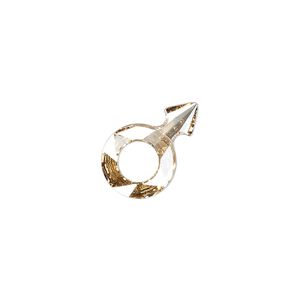 Fancy stone 1pk crystal golden shadow foil back, Crystal Passions&reg; 18x11.5mm male symbol 4878