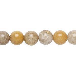 Indonesian fossil coral 1pkg1, round bead natural 15.5-16 inch 8mm