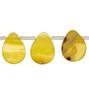 Mother-of-pearl shell 1pkg1, top-drilled flat teardrop bead 12 inch golden yellow, 16x7mm-16x11mm
