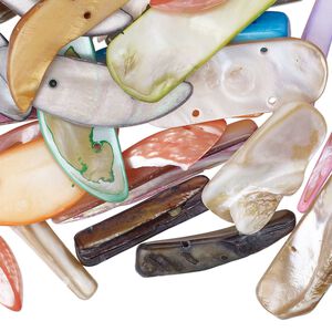 Mother-of-pearl shell 1pkg4oz, 2-hole mixed shapes spacer bead mix mixed colors 25x5mm-67x20mm mixed shapes