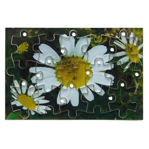 Drop, acrylic, multicolored, 3x2 inch puzzle with daisy image and 20x15mm individual pieces. Sold per 15-piece set.