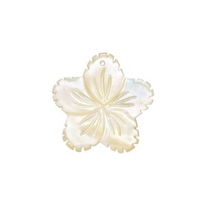Gold lip shell 1pkg2, flower drop natural 19-21mm