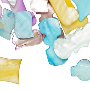Mother-of-pearl shell 1pkg0.25lb, mixed shapes bead mix multicolored 16x12mm-38x25mm