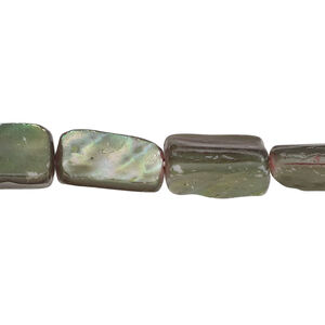 Mother-of-pearl shell 1pkg1, stick bead 14 inch dark green and brown 9x6mm-15x12mm