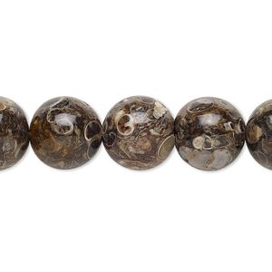 Turritella agate 1pkg1, round bead 15.5-16 inch 12mm