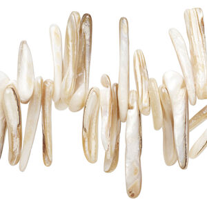 Black lip shell / gold lip shell / mother-of-pearl shell 1pkg1, talon bead 15 inch 18x3mm-35x5mm