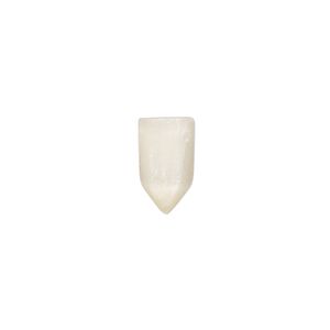 Golden selenite 1pkg1, hand-cut top-drilled faceted point bead 11x5mm-12x6mm