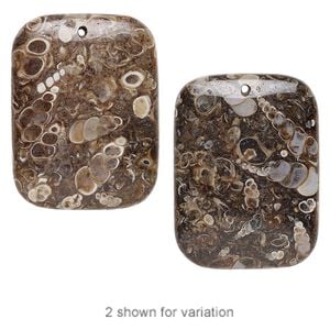 Turritella agate 1pkg1, puffed rectangle focal 40x30mm