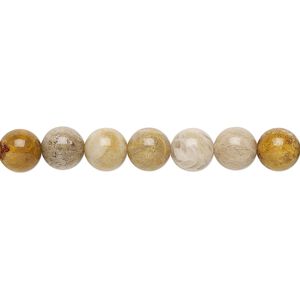 Indonesian fossil coral 1pkg1, round bead natural 15.5-16 inch 6mm