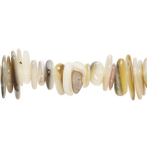 Black lip shell / gold lip shell / mother-of-pearl shell 1pkg1, chip bead 15 inch small to large