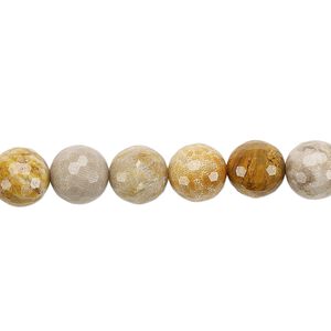 Indonesian fossil coral 1pkg1, faceted round bead natural 8 inch 8mm