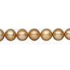 Freshwater pearl 1pkg1, semi-round, 15 inch brown 7-8mm cultured image number 0
