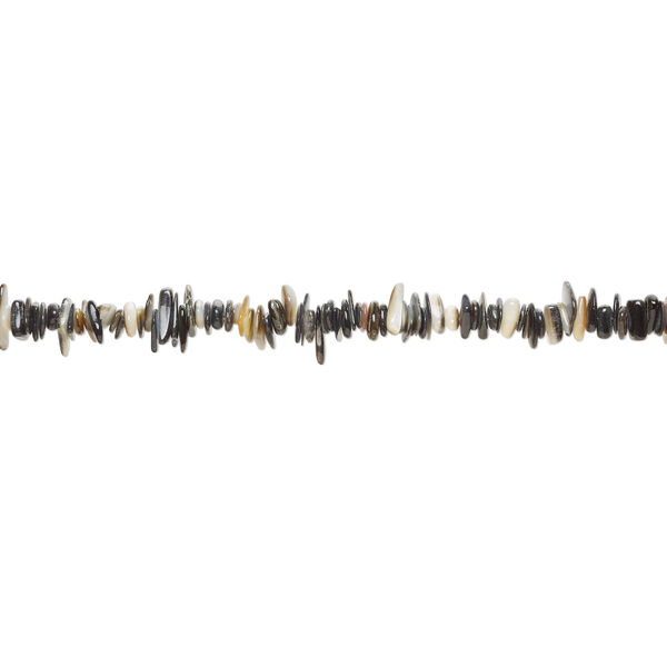 Gold lip shell / black lip shell / mother-of-pearl shell 1pkg1, chip bead 15 inch small to large image number 1