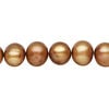 Freshwater pearl 1pkg1, semi-round, 15 inch golden copper 9-11mm cultured image number 0