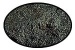 Bituminous Coal