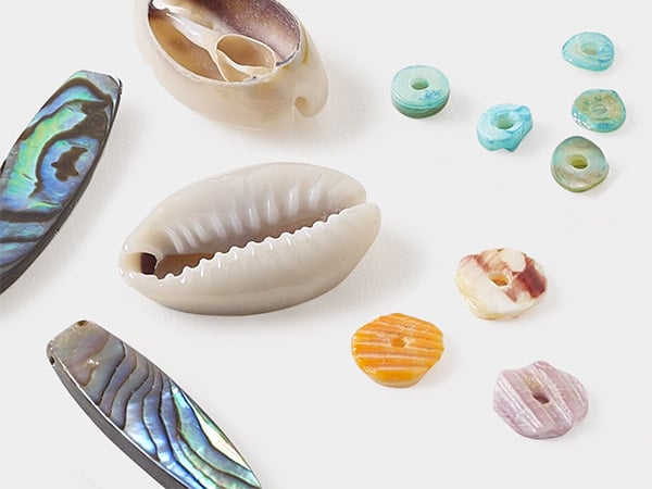 Shell Beads